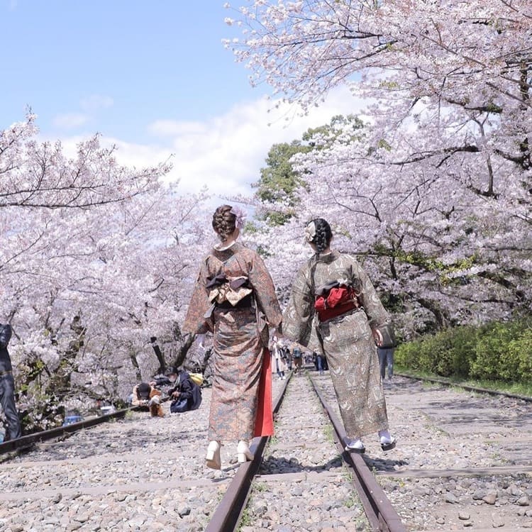 Kimono Rental in Spring in Asakusa