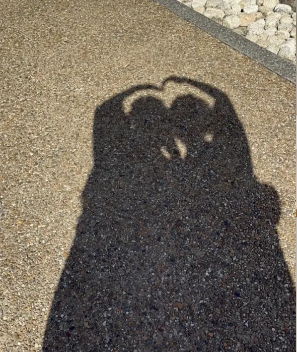 Create Hearts Even in Shadows 💛