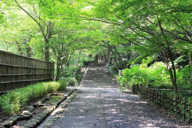 Recommended Kimono Strolling Course in Kamakura with Kimono Rental