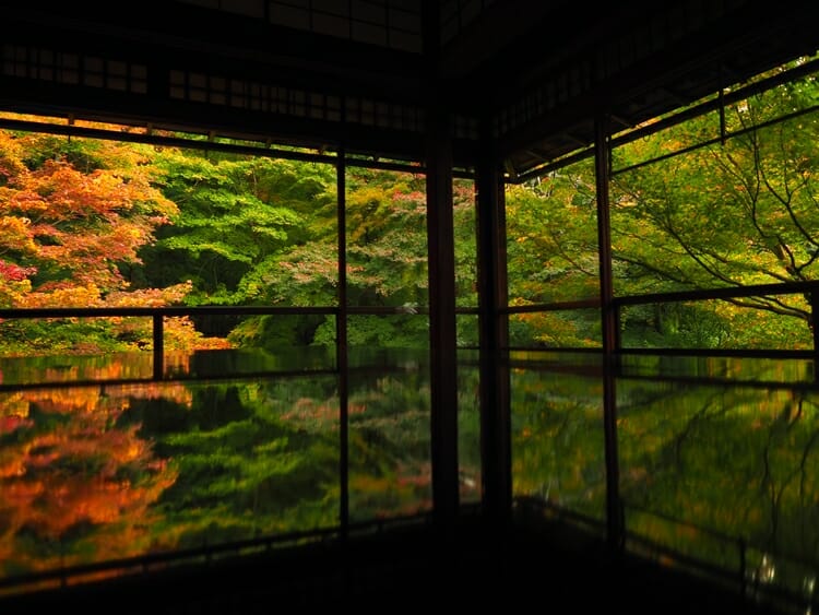 京都で着物レンタルして１日弾丸ツアー！朝から夜まで楽しめるコースを紹介