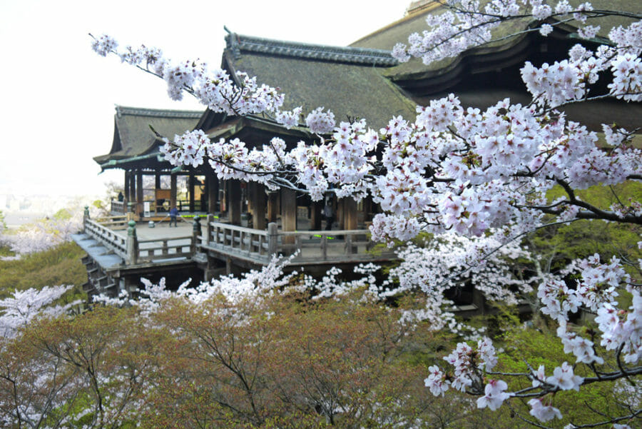 清水寺で着物レンタル