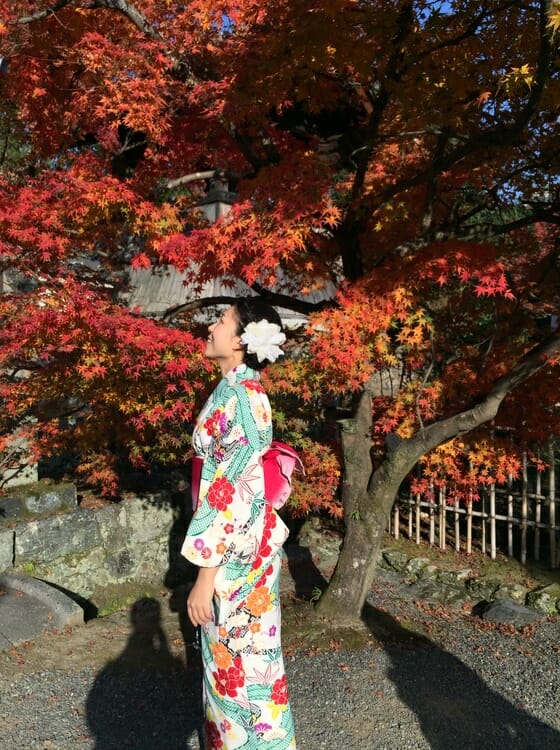 京都の紅葉シーズンに着物レンタル