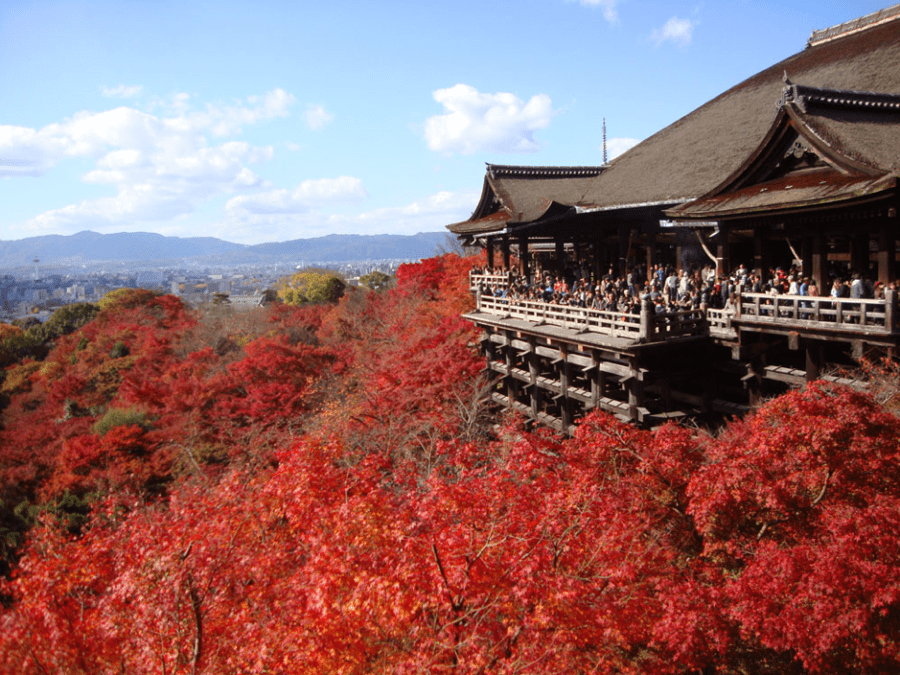 京都で紅葉を楽しむなら着物レンタルがおすすめ！