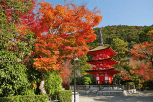 清水寺で着物レンタル