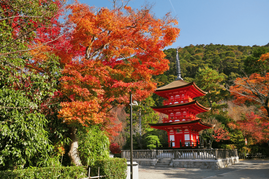 京都の紅葉シーズンの着物レンタル定番散策コース3選