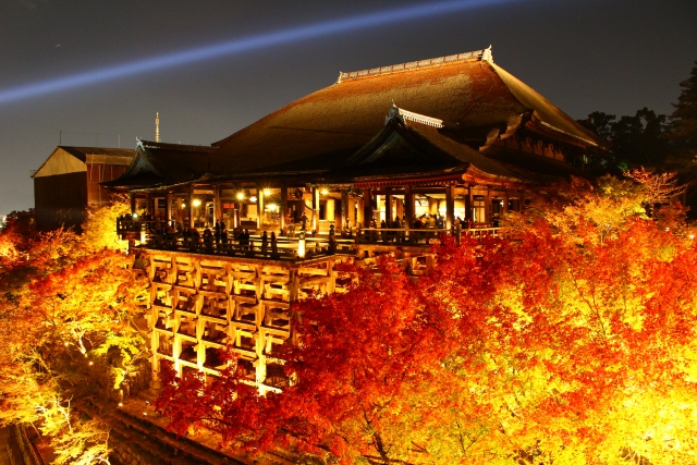 京都の紅葉シーズンに着物レンタルなら梨花和服！