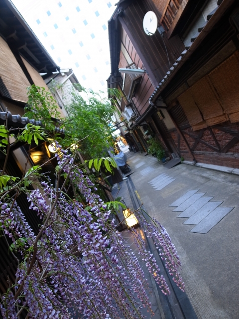 京都の柳小路で着物レンタル