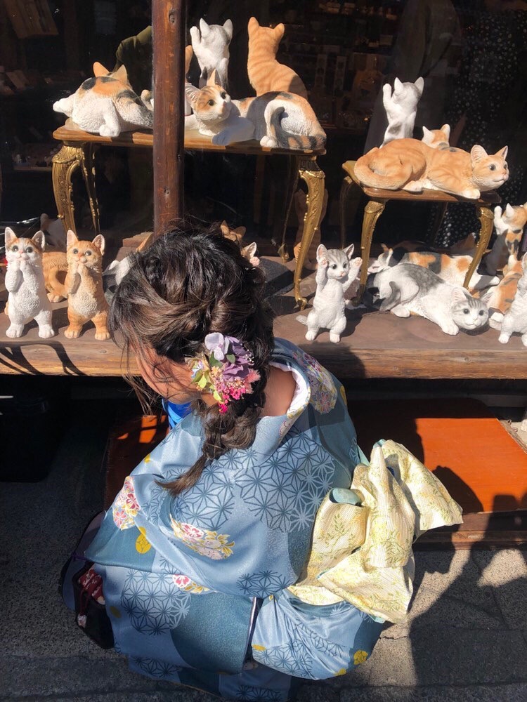清水寺で着物レンタルをして猫まっしぐら