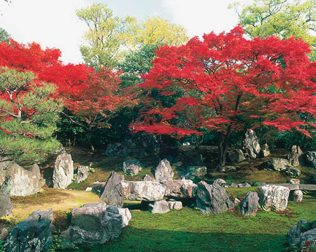 圓徳院
