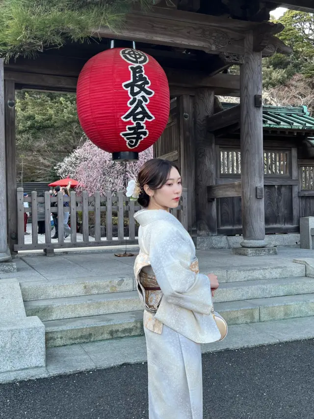 お太鼓結びスタイル👘

小紋に袋帯で、ほどよく上品なおでかけコーデ。
お太鼓結びで大人のきちんと感をプラスしました。

神社の多い鎌倉エリアにもってこいなスタイリングです！

投稿がいいなと思ったら「いいね」「保存」してね🫧
⁡
⁡
⁡
________________________𓈒𓂂❁
⁡
⁡
アカウントタグ付けして投稿してみてね🫶🏻✨
⁡
➡︎ @rikawafuku_kamakura
➡︎ @rikawafuku_album
⁡
皆さんの素敵なコーデも是非見せてください🤍
⁡
________________________𓈒𓂂❁
　　
⁡
【ご利用について】
⁡
最終受付時間15:30
最終返却時間17:30
※最終返却時間の17:30を1分でも過ぎると10分毎に1000円/人の延長料金が発生致しますのでご了承ください。
⁡
________________________𓈒𓂂❁
⁡
⁡
✤ おすすめプラン ✤
着物ヘアセットプラン
※草履も含みます
(梨花和服ではどのプランでも選び放題👘!!)
⁡
⁡
✤ Recommended Plans ✤
Kimono hair set plan
(Includes zori sandals. You can choose any plan as much as you want at rikawafuku👘)
⁡
⁡
✤ 推薦方案 ✤
和服发型套装计划
(包括凉鞋。您可以选择任何您喜欢的和服，与计划无关👘）
⁡
⁡
⁡
✤ オプション ✤【1つ各500円】
刺繍襟
レースインナー
チュール
帯締め
バッグ
へこ帯
アームウォーマー
お面(フォローとタグ付けで¥500→¥0✨)
⁡
⁡
⁡
✤ ご予約について ✤
予約は𝐻𝑃から24時間可能◎
前日まで変更・キャンセルも無料です📝
⁡
⁡
✤ 𝐴𝑏𝑜𝑢𝑡 𝑅𝑒𝑠𝑒𝑟𝑣𝑎𝑡𝑖𝑜𝑛𝑠 ✤
𝑅𝑒𝑠𝑒𝑟𝑣𝑎𝑡𝑖𝑜𝑛𝑠 𝑐𝑎𝑛 𝑏𝑒 𝑚𝑎𝑑𝑒 𝑓𝑟𝑜𝑚 𝐻𝑃 𝑡𝑜 24 ℎ𝑜𝑢𝑟𝑠 ◎
𝐸𝑛𝑔𝑙𝑖𝑠ℎ 𝑎𝑣𝑎𝑖𝑙𝑎𝑏𝑙𝑒 
⁡
⁡
✤ 關於預約 ✤
可透過網站預約24小時◎
中文支援
⁡
⁡
✤ 店舗アクセス ✤
⁡
📍神奈川県鎌倉市小町2丁目12-37 ティアイビルⅡ 2-B
⁡
鎌倉店⇨JR鎌倉駅徒歩4分
⁡
⁡
⁡
皆様のご予約お待ちしております🕊

#梨花和服 #鎌倉着物レンタル #鎌倉着物 #鎌倉観光 #江ノ島観光  #鶴岡八幡宮  #長谷寺  #神社  #神社仏閣巡り好きな人と繋がりたい  #歴史  #袋帯  #お太鼓  #お太鼓結び  #着物  #着物コーディネート  #ヘア  #kamakura  #japan  #kimono  #和服  #和服體驗  #和服出租  #trend  #春休み  #修学旅行  #ゴールデンウィーク  #旅  #旅スタグラム