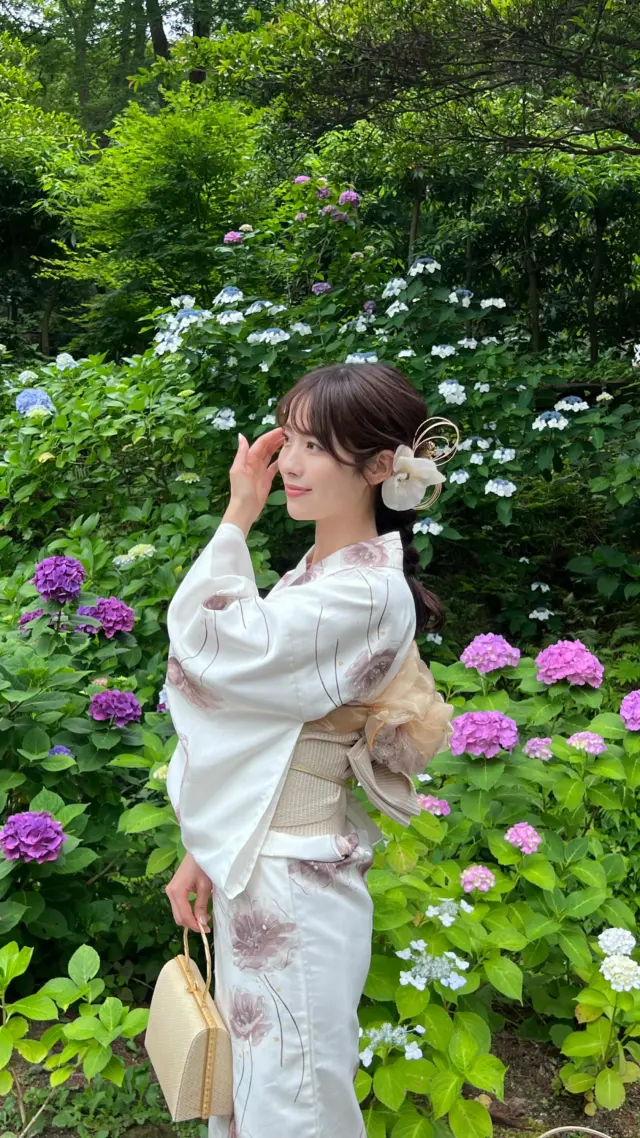 柔らかなアイボリー色の浴衣と
色鮮やかなあじさい

投稿がいいなと思ったら「いいね」「保存」してね🫧
⁡
⁡
⁡
________________________𓈒𓂂❁
⁡
⁡
アカウントタグ付けして投稿してみてね🫶🏻✨
⁡
➡︎ @rikawafuku_kamakura
➡︎ @rikawafuku_album
⁡
皆さんの素敵なコーデも是非見せてください🤍
⁡
________________________𓈒𓂂❁
　　
⁡
【ご利用について】
⁡
最終受付時間15:30
最終返却時間17:30
※最終返却時間の17:30を1分でも過ぎると10分毎に1000円/人の延長料金が発生致しますのでご了承ください。
⁡
________________________𓈒𓂂❁
⁡
⁡
✤ おすすめプラン ✤
着物ヘアセットプラン
※草履も含みます
(梨花和服ではどのプランでも選び放題👘!!)
⁡
⁡
✤ Recommended Plans ✤
Kimono hair set plan
(Includes zori sandals. You can choose any plan as much as you want at rikawafuku👘)
⁡
⁡
✤ 推薦方案 ✤
和服发型套装计划
(包括凉鞋。您可以选择任何您喜欢的和服，与计划无关👘）
⁡
⁡
⁡
✤ オプション ✤【1つ各500円】
刺繍襟
レースインナー
チュール
帯締め
バッグ
へこ帯
アームウォーマー
お面(フォローとタグ付けで¥500→¥0✨)
⁡
⁡
⁡
✤ ご予約について ✤
予約は𝐻𝑃から24時間可能◎
前日まで変更・キャンセルも無料です📝
⁡
⁡
✤ 𝐴𝑏𝑜𝑢𝑡 𝑅𝑒𝑠𝑒𝑟𝑣𝑎𝑡𝑖𝑜𝑛𝑠 ✤
𝑅𝑒𝑠𝑒𝑟𝑣𝑎𝑡𝑖𝑜𝑛𝑠 𝑐𝑎𝑛 𝑏𝑒 𝑚𝑎𝑑𝑒 𝑓𝑟𝑜𝑚 𝐻𝑃 𝑡𝑜 24 ℎ𝑜𝑢𝑟𝑠 ◎
𝐸𝑛𝑔𝑙𝑖𝑠ℎ 𝑎𝑣𝑎𝑖𝑙𝑎𝑏𝑙𝑒 
⁡
⁡
✤ 關於預約 ✤
可透過網站預約24小時◎
中文支援
⁡
⁡
✤ 店舗アクセス ✤
⁡
📍神奈川県鎌倉市小町2丁目12-37 ティアイビルⅡ 2-B
⁡
鎌倉店⇨JR鎌倉駅徒歩4分
⁡
⁡
⁡
皆様のご予約お待ちしております🕊

#梨花和服 #鎌倉着物レンタル #鎌倉着物 #鎌倉観光 #江ノ島観光  #鎌倉着物  #鎌倉観光  #和服體驗  #kamakura  #기모노  #着物コーディネート  #kimono  #紫陽花  #あじさい  #円覚寺  #円覚寺あじさい  #hydrangea  #수국  #japan  #浴衣  #浴衣コーディネート  #着物ヘアアレンジ