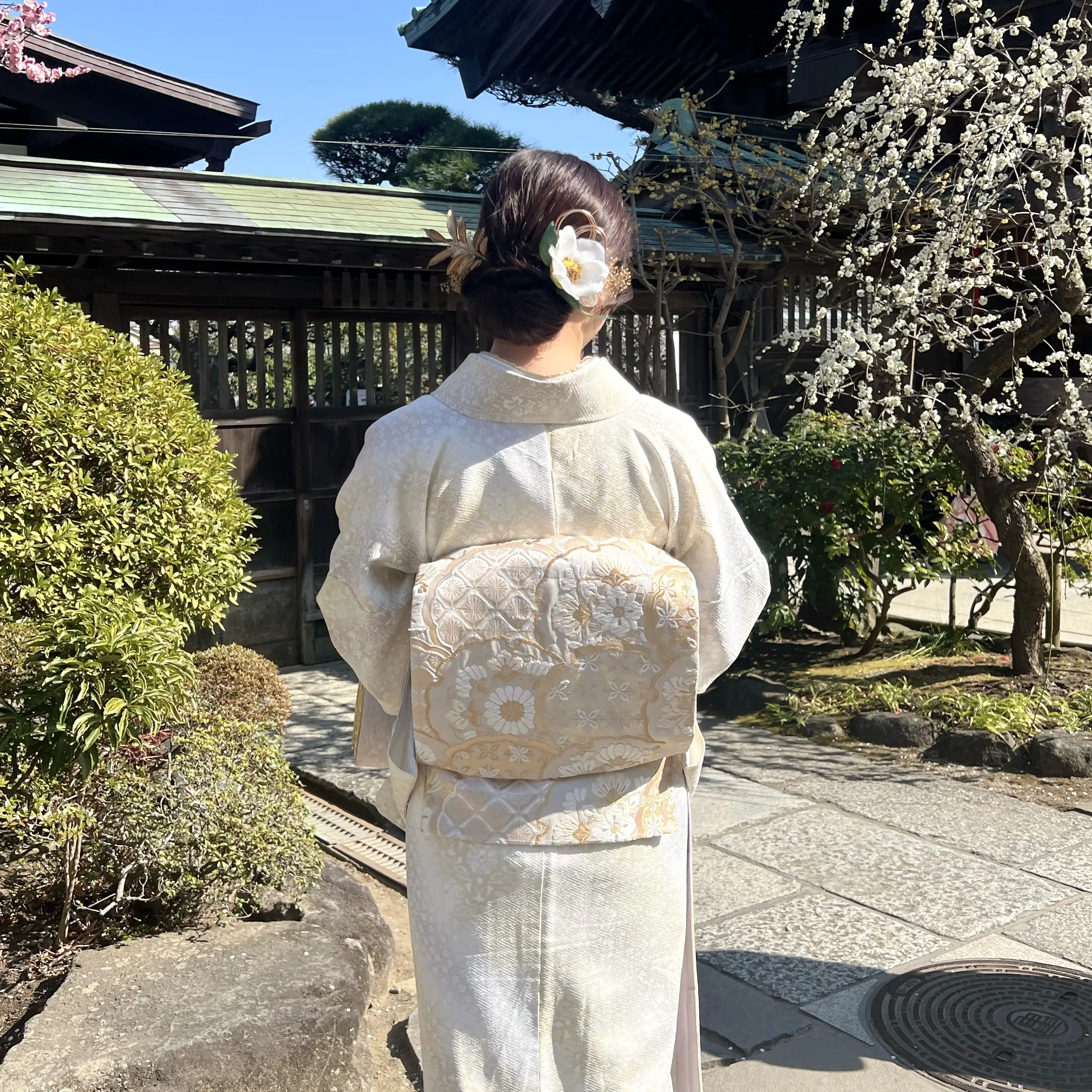 太鼓結升級服務