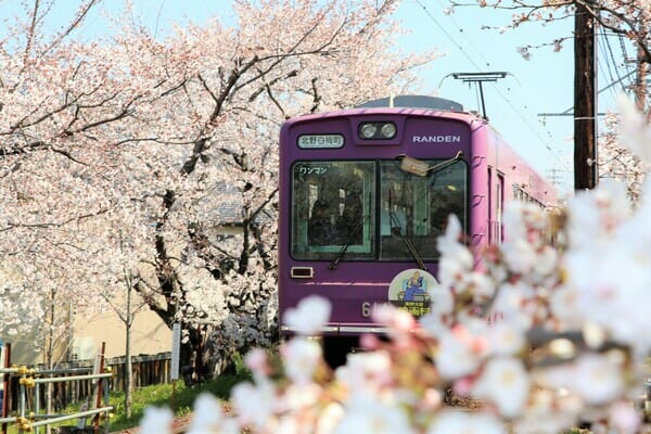 嵐山租借和服超可愛！情侶紀念日約會行程推薦